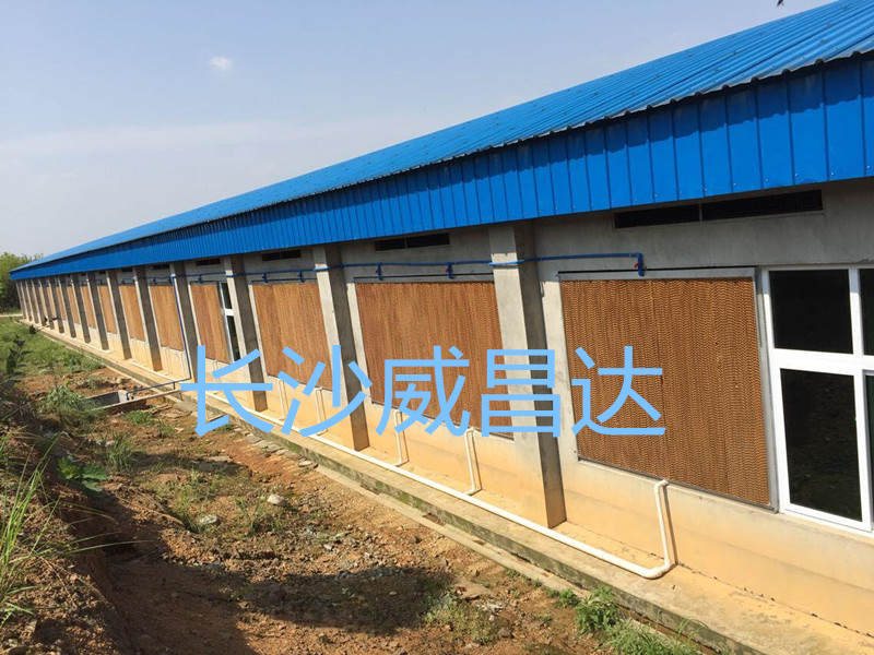 夏季燒烤模式開啟，您的養(yǎng)殖畜禽舍降溫了嗎？湖南水簾風(fēng)機(jī)專業(yè)為養(yǎng)殖畜禽舍降溫